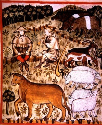 Fol.71r Animali Castrati, illustrazione da 