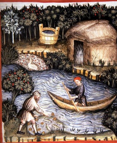 Fol.82r Pesce Fresco, illustrazione da 
