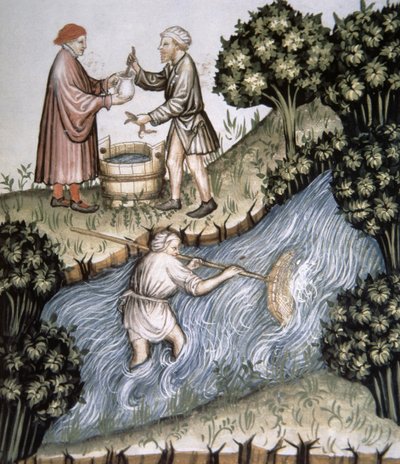 Fol.84r Pesca, illustrazione dal Tacuinum Sanitatis Codex Vindobonensis da Italian School