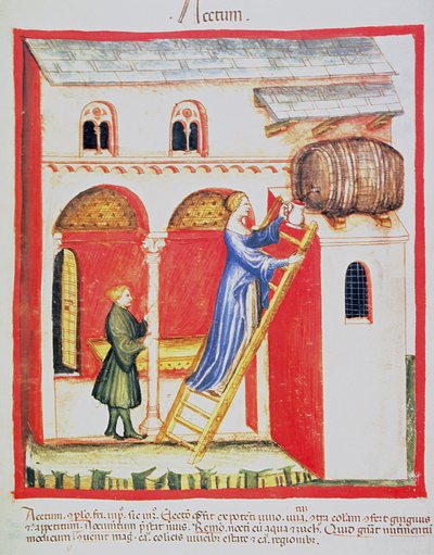 Fol.85v Aceto, illustrazione dal Tacuinum Sanitatis Codex Vindobonensis da Italian School