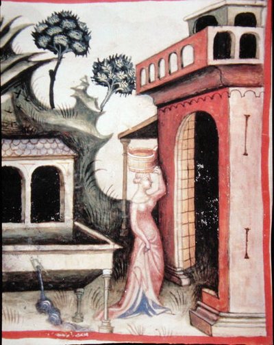 Fol.88v Acqua di Sorgente, illustrazione da 