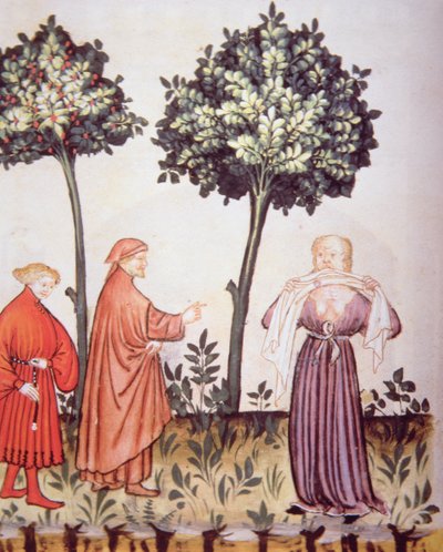 Colera, illustrazione dal Tacuinum Sanitatis Codex Vindobonensis da Italian School