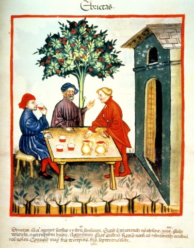 Ubriachezza, illustrazione dal Tacuinum Sanitatis Codex Vindobonensis da Italian School