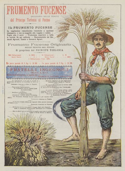 Frumento Fucense da Italian School