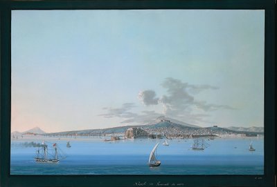 Veduta generale di Napoli dal mare da Italian School