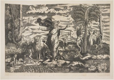Dio crea gli animali, c.1550 da Italian School