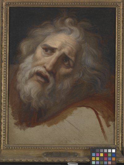 Testa di Laocoonte da Italian School