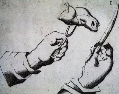 Come tagliare un uccello, illustrazione da Li tre trattati di messer Mattia Giegher bavaro di Mosburc, Trinciante dell