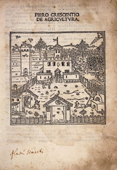 Pagina del titolo illustrata da 