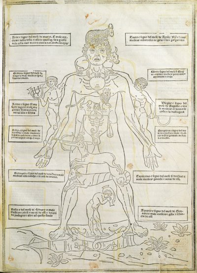 Illustrazione da 