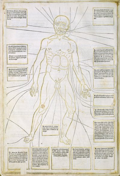 Illustrazione da 