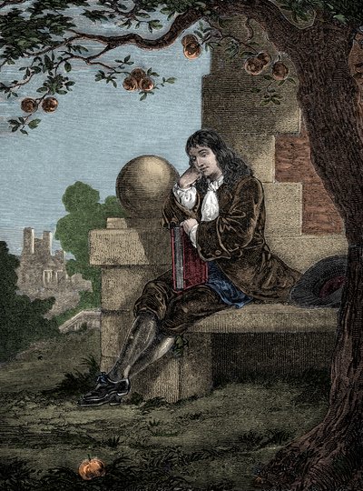 Isaac Newton osserva una mela cadere mentre è seduto sotto un albero da Italian School