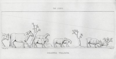 La Colonna Traiana da Italian School