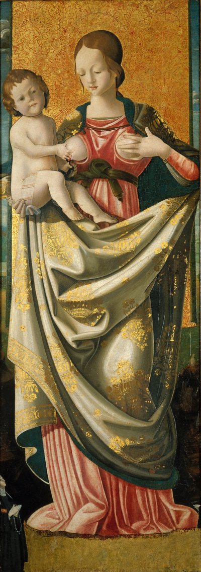 Madonna del Suffragio, c.1520 da Italian School