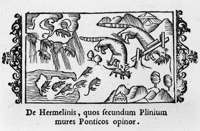 Migrazione dei lemming, da 