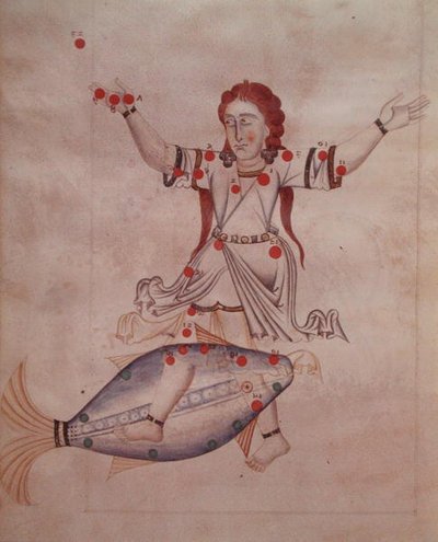 Ms.1036 La costellazione dei Pesci, da 