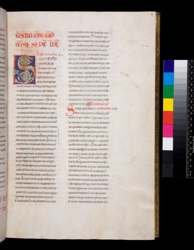 Ms 143. Gregorio Magno, Registrum Epistolarum, f.8r. Iniziale decorata [S] con riempimento di foglie di vite bianche e pinnacoli da Italian School