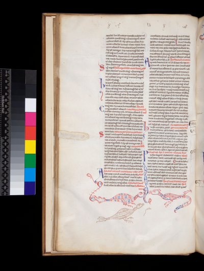 Ms 164. Pietro Lombardo, Sententiae, f.15v. Decorazione a penna bas-de-page sviluppata in ibridi uccello/dragone da Italian School