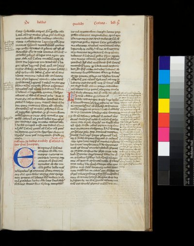 Ms 342. Cesare, Opera, f.38r. Iniziale [E] in blu con decorazione a penna rossa da Italian School