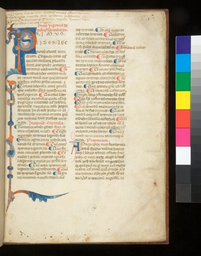 Ms 398. Vegezio, Epitoma rei militaris, f.1r. Iniziale decorata [P] che si estende a formare un bordo parziale di bastoni e acanto, Padova?, fine XIII secolo (pergamena) da Italian School