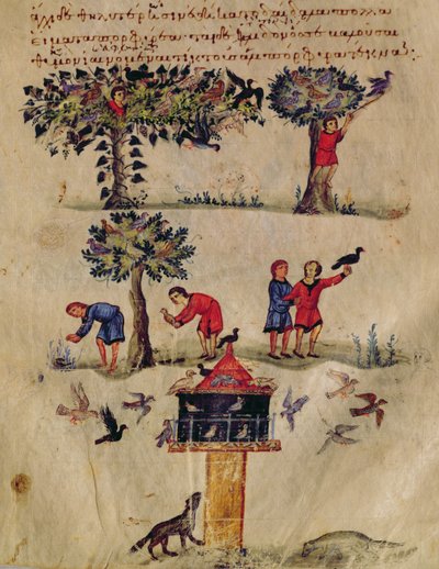 Ms Grec 479 Caccia agli uccelli, illustrazione probabilmente dall