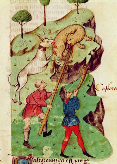 La caccia, dal 