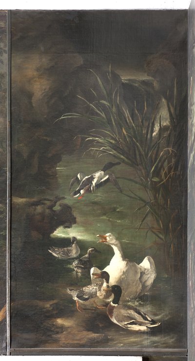 Mito di Orfeo: cigno e anatre, c.1650-60 da Italian School