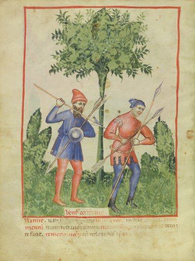 Il Vento dell
