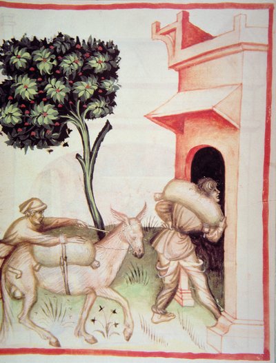 Olio d
