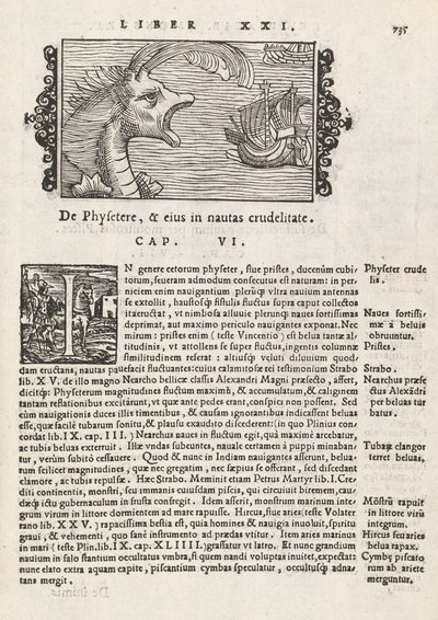 Pagina 735 da Historia De Gentivus Septentrionalibus di Magnus Olaus, Roma 1565 da Italian School