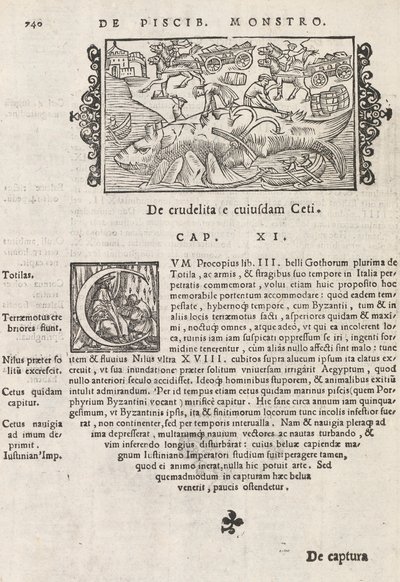 Pagina 740 da Historia De Gentivus Septentrionalibus di Magnus Olaus, Roma 1565 da Italian School