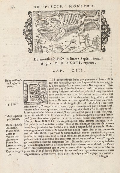 Pagina 742 da Historia De Gentivus Septentrionalibus di Magnus Olaus, Roma 1565 da Italian School