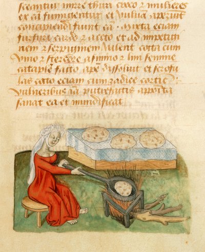 Pagina dal Tractatus de Herbis di Dioscoride Pedanio da Italian School