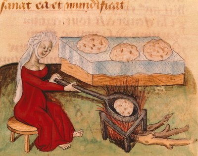 Pagina dal Tractatus de Herbis di Dioscoride Pedanio da Italian School