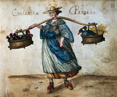 Contadino con animali da cortile in cesti, Contadina di Padova, illustrazione a colori del XVI secolo da Italian School