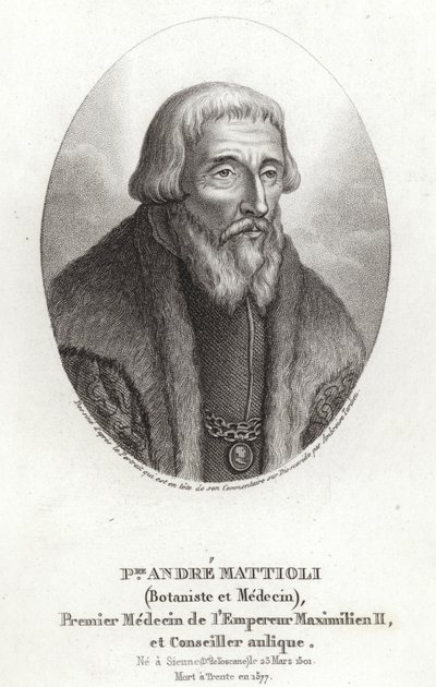 Pietro Andrea Mattioli da Italian School