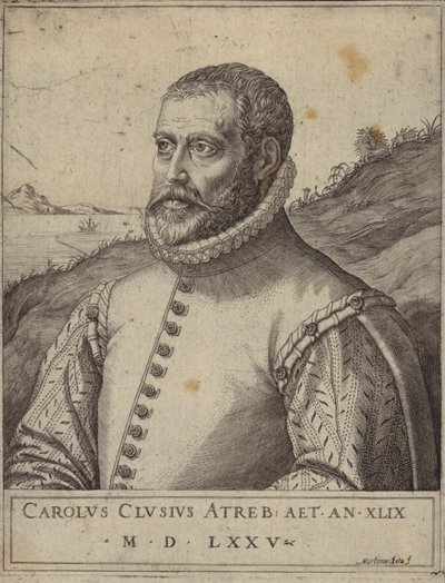 Ritratto di Carolus Clusius da Italian School