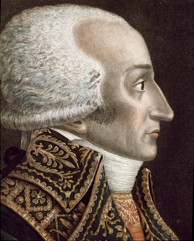 Ritratto di Francesco Melzi D
