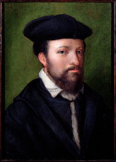 Ritratto di un gentiluomo, Nord Italia, metà XVI secolo da Italian School