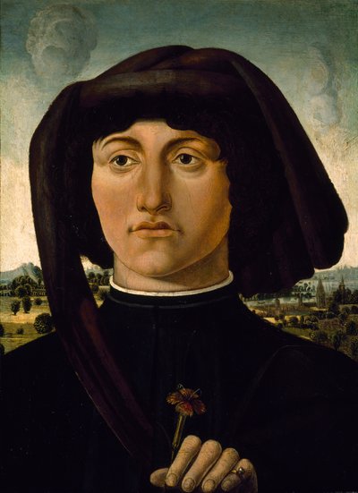Ritratto di un giovane con un fiore rosa, c.1475-85 da Italian School