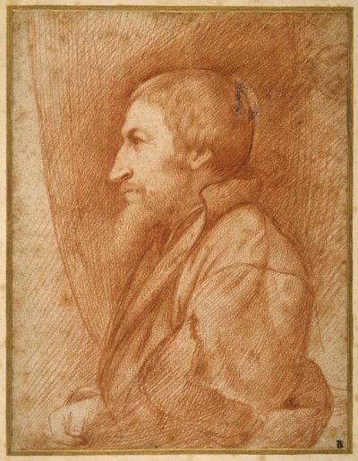 Ritratto di profilo (autoritratto?) di un uomo con la barba da Italian School