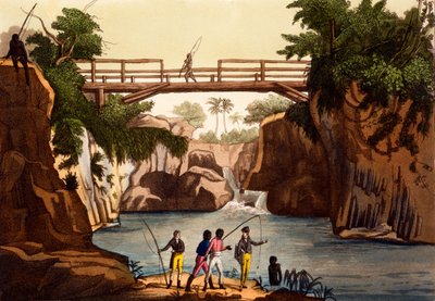 Fiume Roccie vicino a San Benedetto, Isola del Madagascar, da Costumi dei... di Giulio Ferrario, c.1820-30 da Italian School