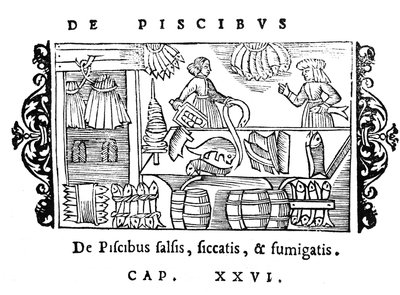 Salatura, essiccazione e affumicatura del pesce, illustrazione da Historia de Gentibus Septentrionalibus di Olaus Magnus (1490-1558), pubblicato a Roma, 1555 da Italian School