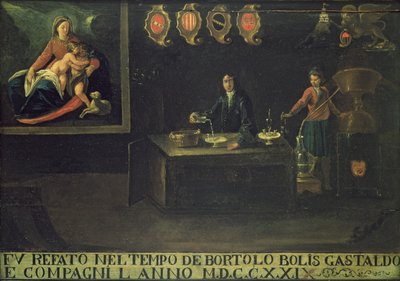 Insegna della Corporazione dei Farmacisti Veneziani, 1729 da Italian School