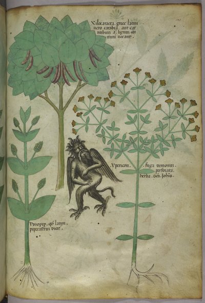 Sloane 4016 f.103 Miniatura di piante e un demone: l