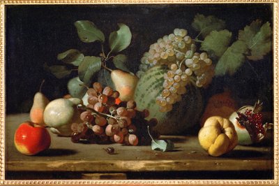 Natura morta con uva e melograno, primi anni ... da Italian School