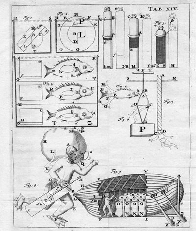 Studi sulla navigazione subacquea - in "De Motu Animalium" di Giovanni Alfonso Borelli (1608 - 1679) da Italian School