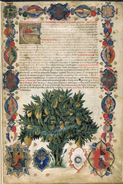 Pagina di testo con bordi ornamentali, illustrazione da 