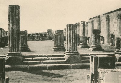 La Basilica com