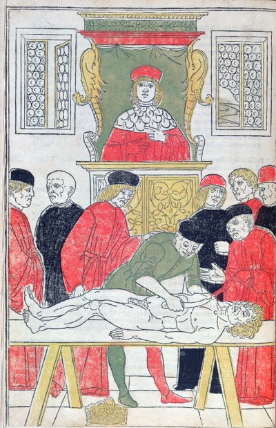 La dissezione, illustrazione da 